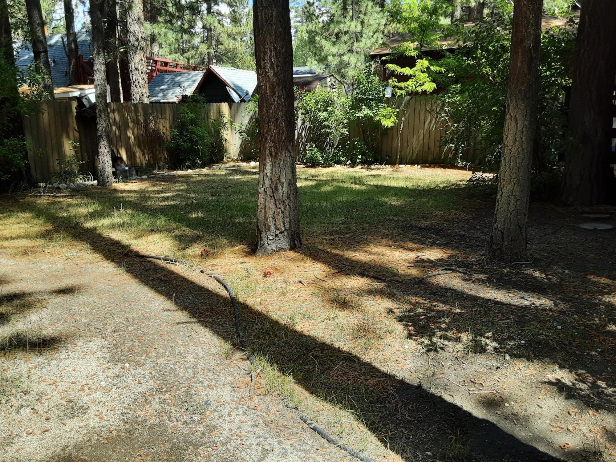 Bearadise - Prime Location For A Family Getaway In The Winter Or Summer บิ๊กแบร์ซิตี้ ภายนอก รูปภาพ